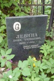 Левина Душа Гиршевна, Москва, Востряковское кладбище